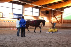 Gelassenheitstraining-2013-01