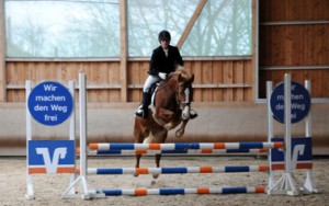 Reitabzeichen 2015-18