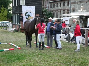 Schulpferdecup-2012-26